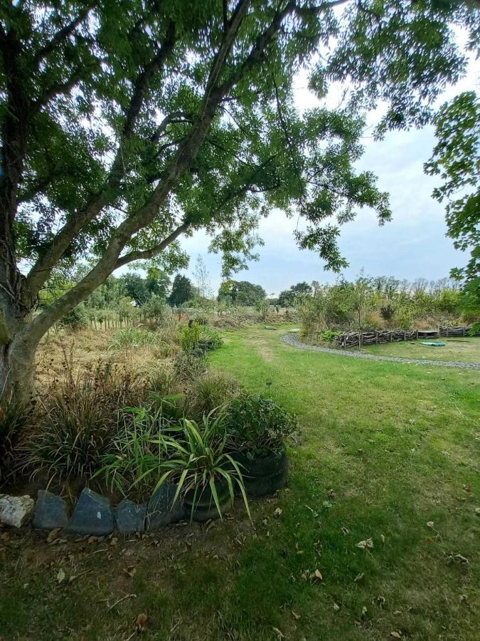 Villa Field Hut à Wadebridge Extérieur photo